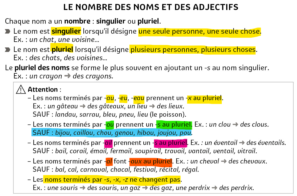 O4 Le Pluriel Des Noms Et Des Adjectifs